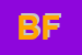 logo della BIFFI FABRIZIO