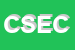logo della CARGO SERVICE EXPRESS CSE SRL
